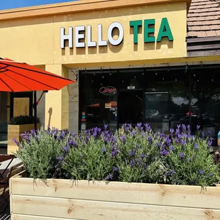 Welcome to HELLO TEA! Cheers