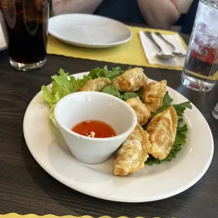 Fried Potstickers