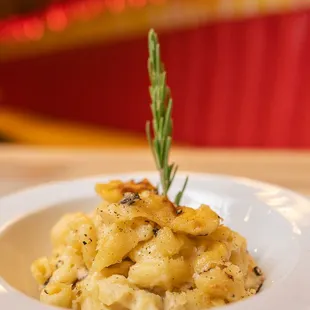 a plate of macaroni and cheese