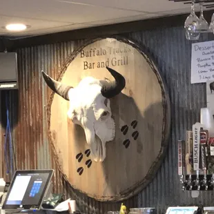 a bull skull mounted on the wall
