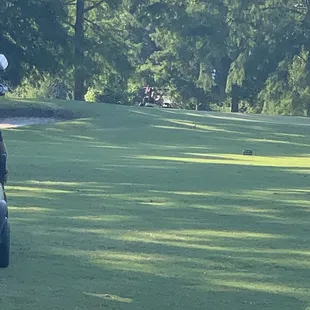 The wife harassing us at every back 9 hole and the  sneakily driving away.