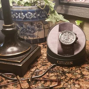 Citizen PCAT watch
