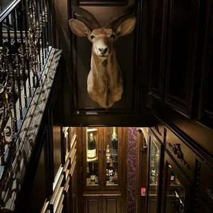 a deer head mounted on a wall above a staircase