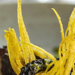 a close up of a plate of food