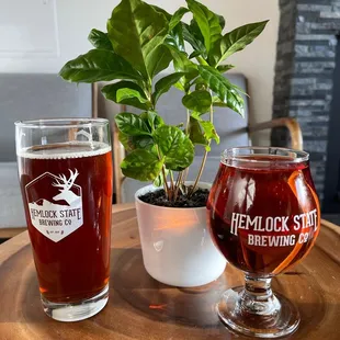 Hemlocktoberfest lager and blueberry cider