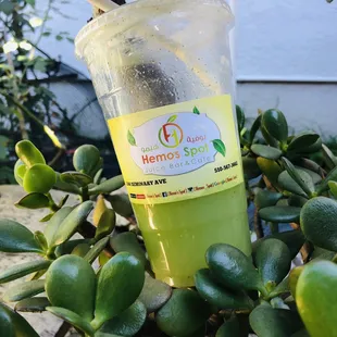 Yemeni limeade (24 oz. 4)light sugar