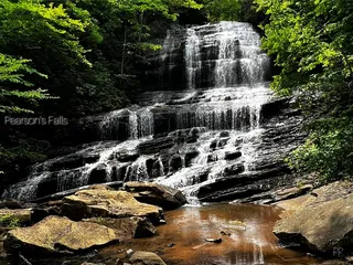 Pearson's Falls and Glen