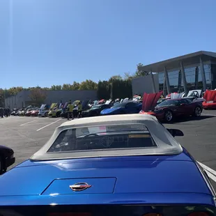 The rearview of all the Corvettes!