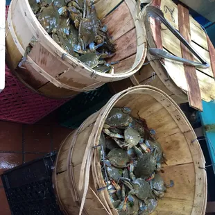 Fresh blue crabs