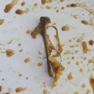 Bone and hair that was found in our food.