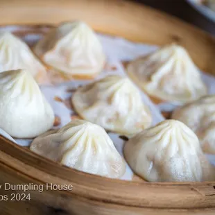 Pork Dumplings XLB
