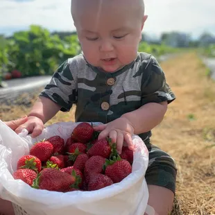 Baskets they give you to use are large enough to share!