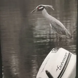 We've got it all in Louisiana