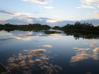 Eco Tours New Orleans