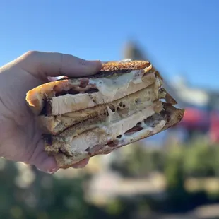 a hand holding a grilled sandwich