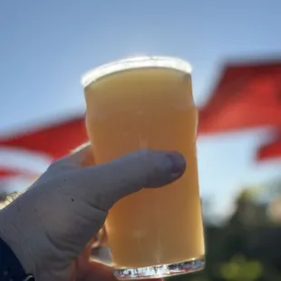 a hand holding a pint of beer
