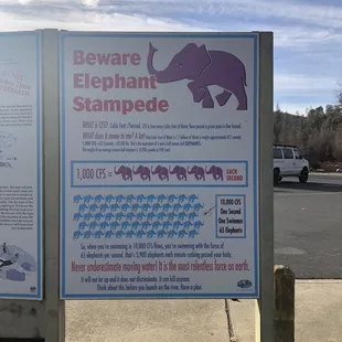 The pressure of the river currents are as strong as an elephant stampede. Stay near the river bank.