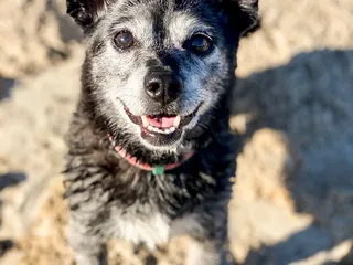 Folsom Lake State Recreation Area
