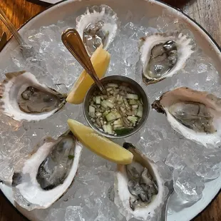Oysters