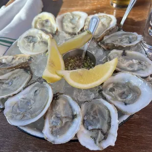 Oysters