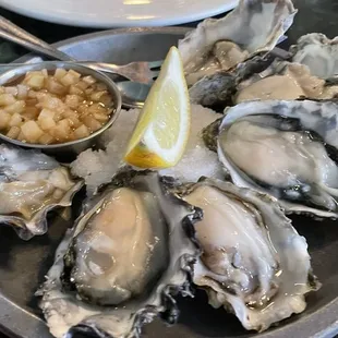 Oysters