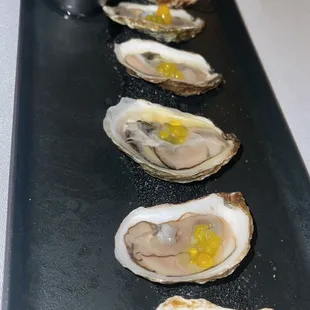 Oysters