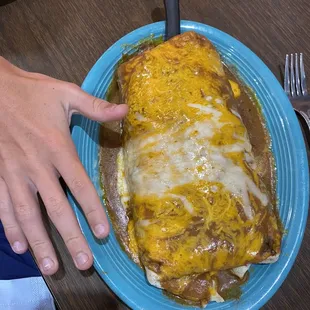 Burrito to scale..