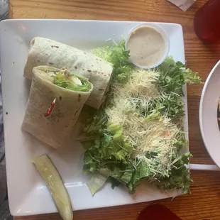 Chicken Wrap and Salad