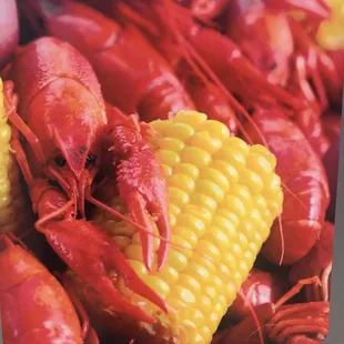 craws and corn on the cob