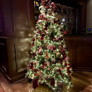 12.24.23 Christmas Tree