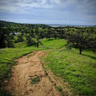 12.19.17. nice hike on Buck Ridge Trail after extensive winter rains