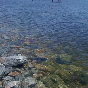 Lake covering some of the day area picnic sites 2011.