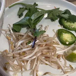 Saddest bean sprouts ever