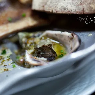 Roasted oysters and bone marrow