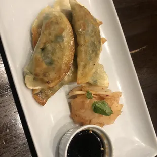 Spicy Pan Seared Dumplings