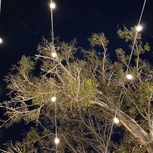 Cute lights above the patio area