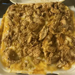 Chicken Chili Cheese Fries from one angle