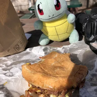 Squirtle likes it