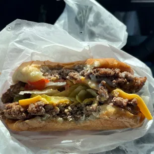 Double-Double. Get a sack of plain and dry for later. Best Burger Anywhere! Definitely in a league of its own.