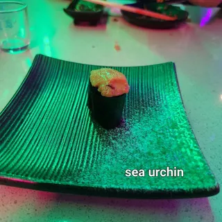 9. Sea Urchin*