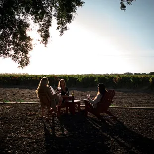 Relax with a vineyard view.