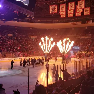 Cincinnati Cyclones!