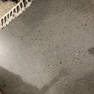 a dog laying on the floor