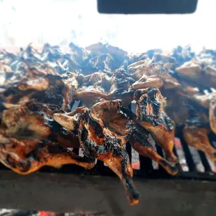 grilled fish on a grill