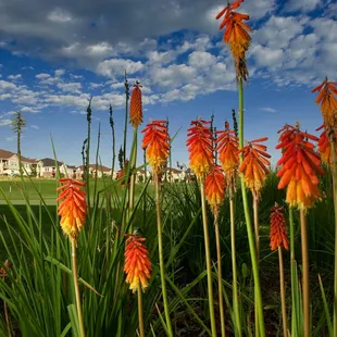 One of the many beautiful sights surrounding the golf course.