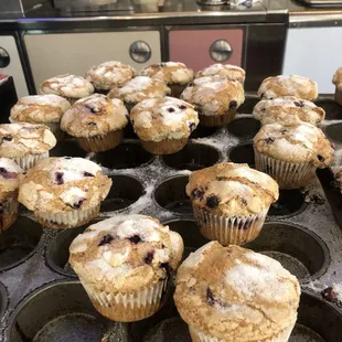 Homemade Muffins