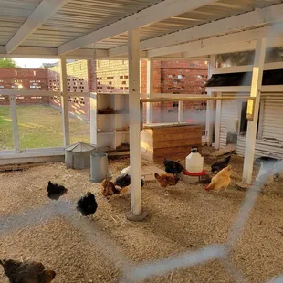 Annual FFA Event, October 2022. Read my review for details!!