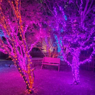 FFA Farmers Table Event October 2023