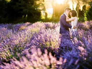 Woodinville Lavender