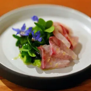 kanpachi crudo